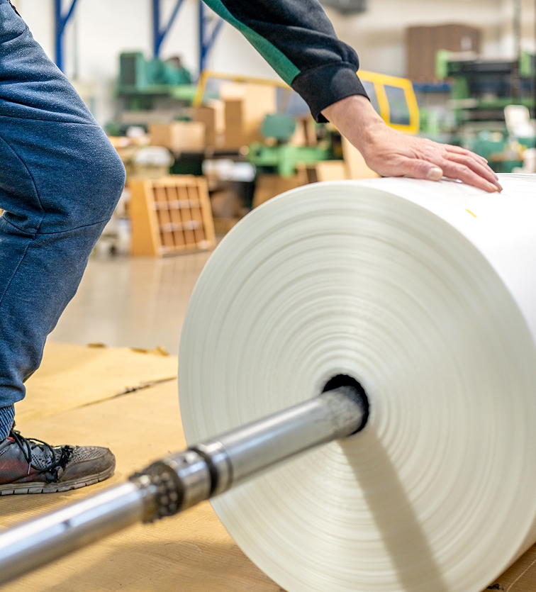 shutterstock_2264318485 1